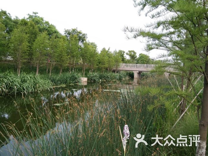 罗塘公园-图片-姜堰区周边游-大众点评网