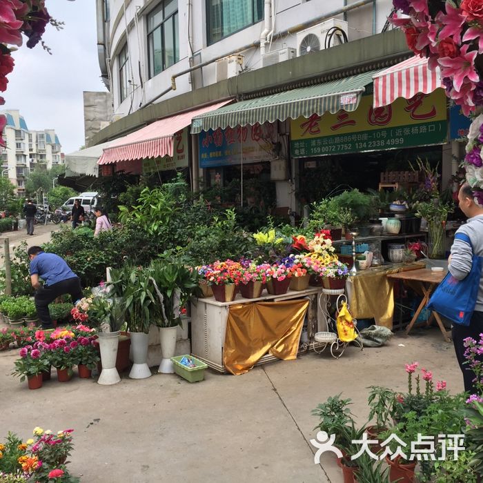 黄山花鸟市场