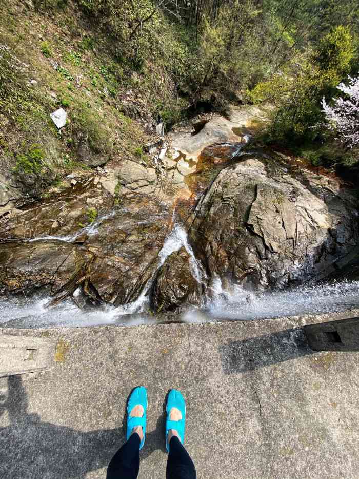 马鬃岭自然保护区-"马鬃岭位于金寨县花石乡,因古木,.