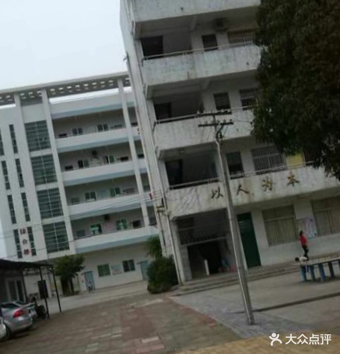 礼乐中心小学-图片-江门学习培训-大众点评网