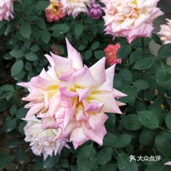 1_yQ2D2mzgaVRDwNo5Cjybdvyjua6sWZ09qMlcbJeKcNdtNylZX1pkGuwDqPCzmhuzFvxlbkWx5uwqY2qcjixFEuLYk00OmSS1IdNpm8K8twhW7bzr4O88Ivp4FuDG0SfCF2ubeXzk49OsGrXt_KYDCngOyCwZK-s3fqawWswzk.jpg