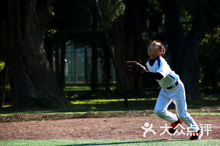 梦想英雄棒球-图片-北京教育培训