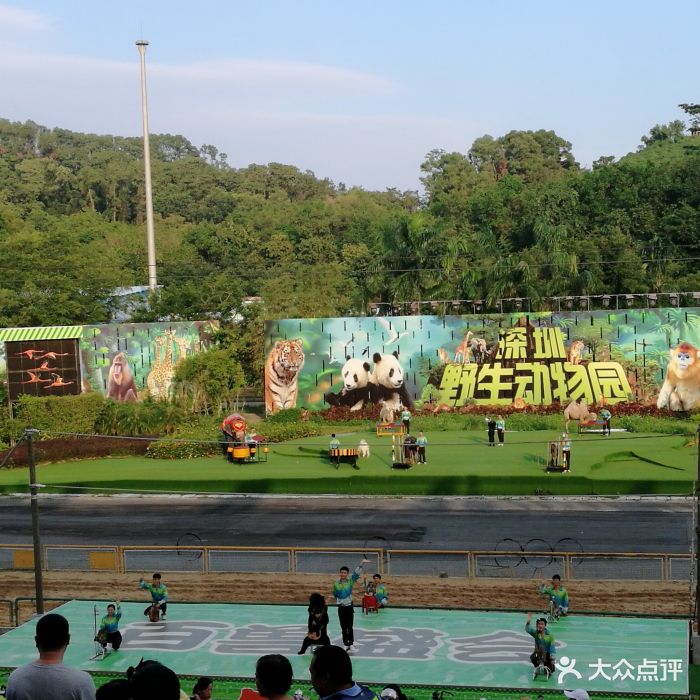 深圳野生动物园表演图片 - 第2张