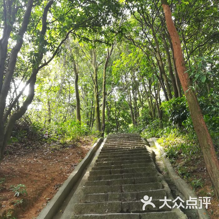 黄山鲁森林公园