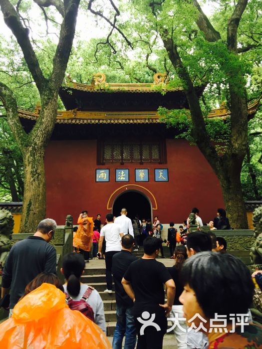 法雨禅寺天华法雨图片 - 第192张