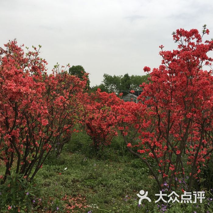 长沙园林生态园