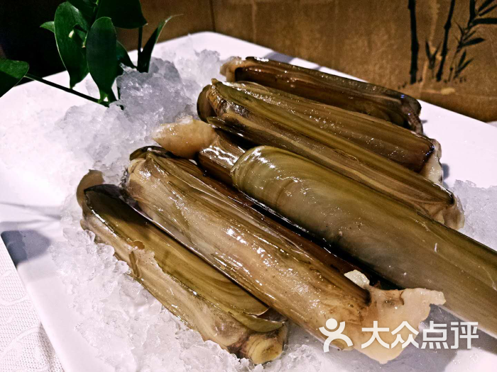 蛏子皇