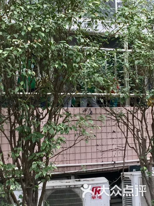 广州少年宫篮球培训中心-图片-广州运动健身-大