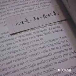 外乡人简谱_卑鄙的外乡人