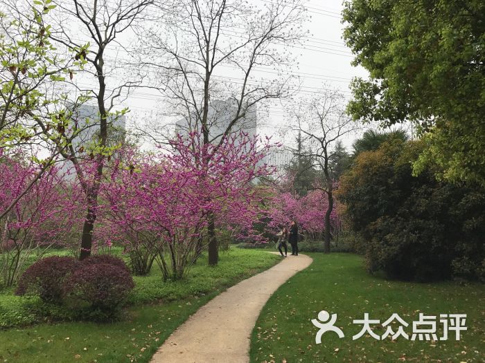 漕河泾开发区公园图片 - 第4张