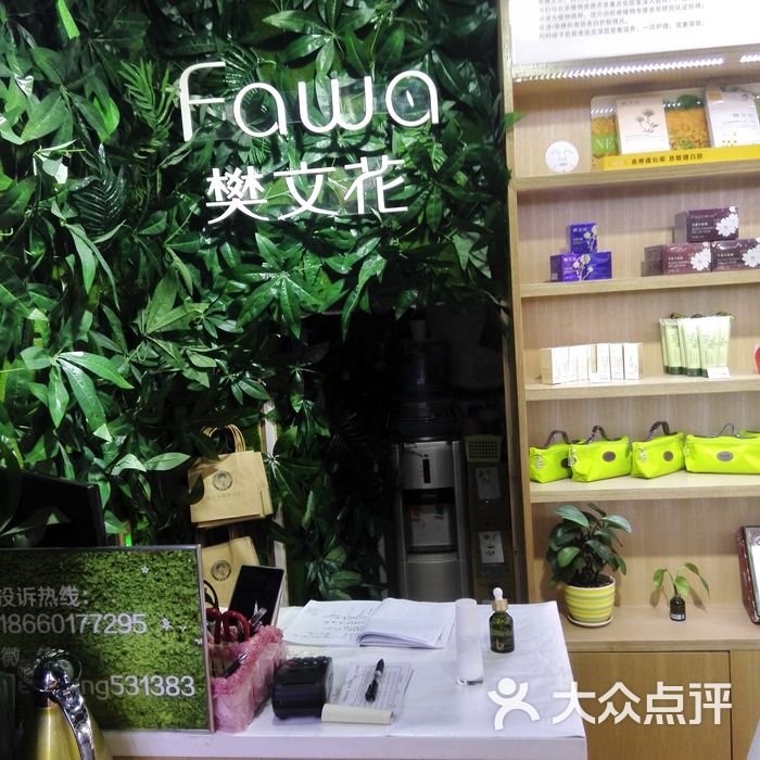 樊文花