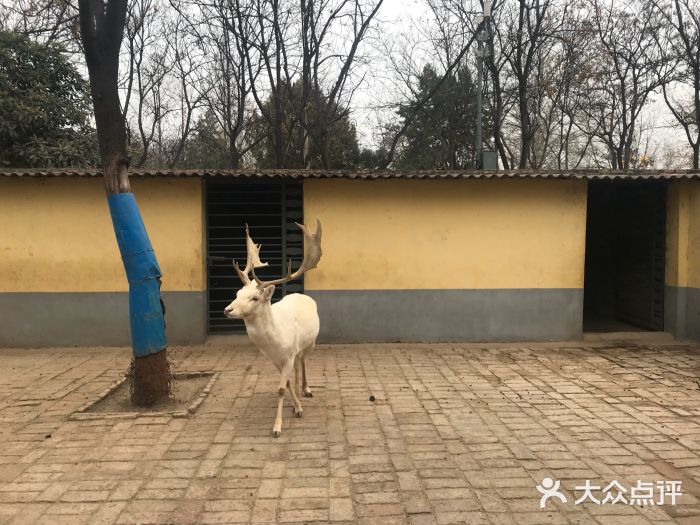 渭滨公园动物园图片