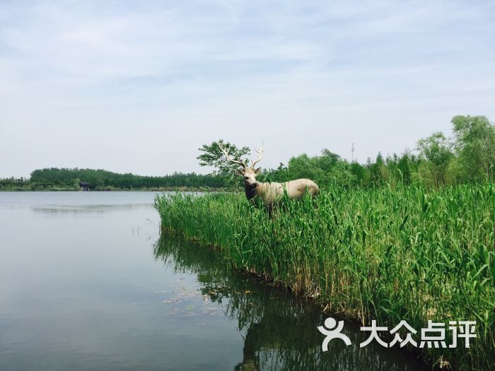 溱湖风景区-图片-姜堰区周边游-大众点评网