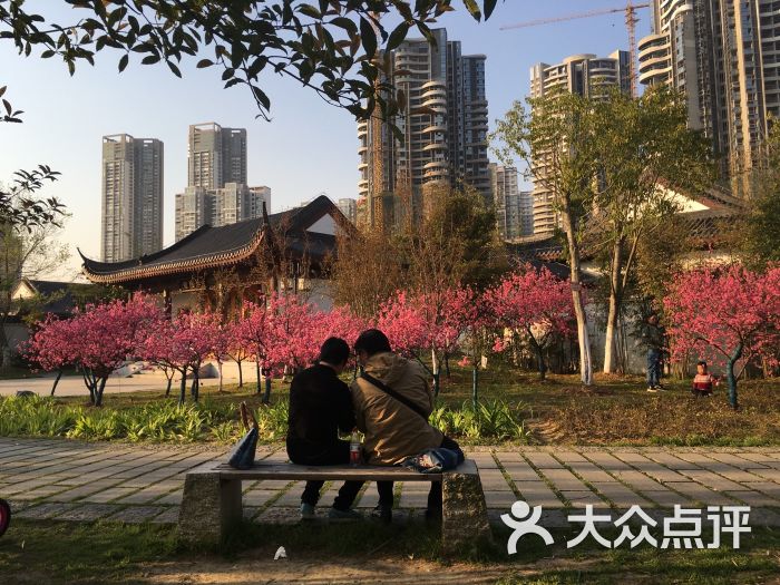 沙湖公园图片 第14张