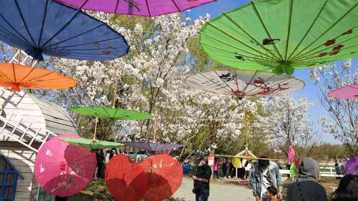 蓝调庄园-"打卡蓝调庄园樱花节团票:一大一小50,."