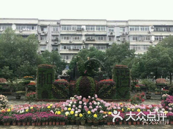 武汉科技大学(青山校区)图片 第1张