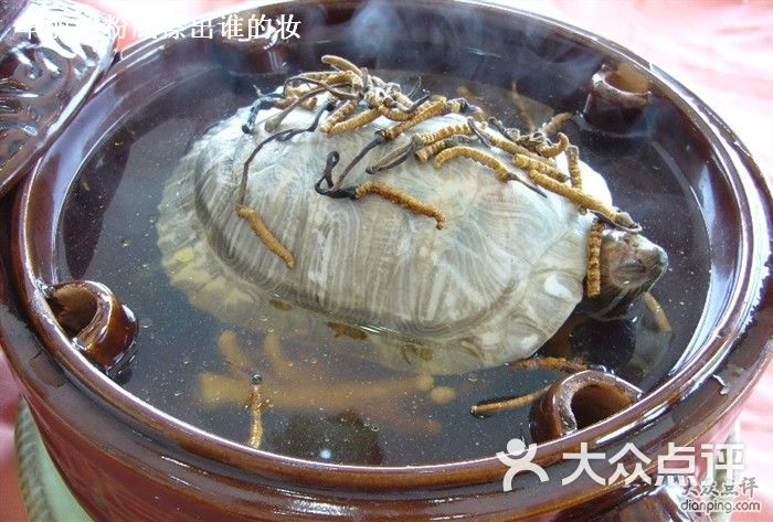 湖景鱼翅_贵港泰丰海鲜城_湖景鱼翅海鲜城月饼(3)
