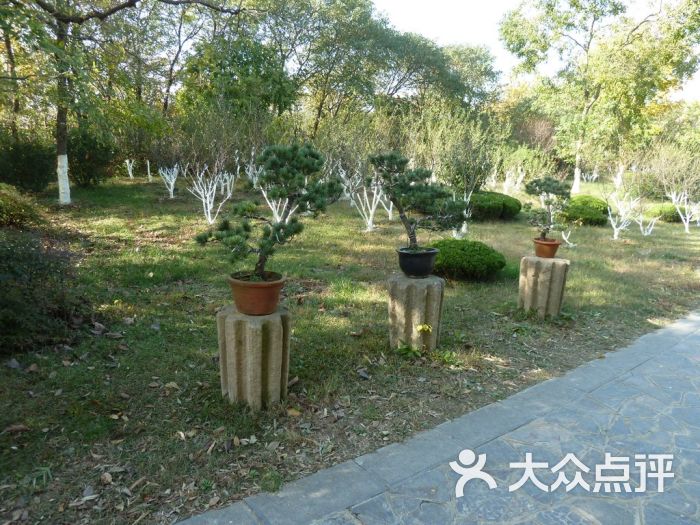 合肥植物园植物园一角图片 第553张