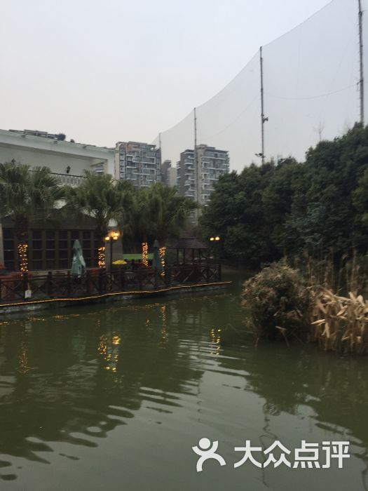 天鹅湖餐厅图片 - 第62张