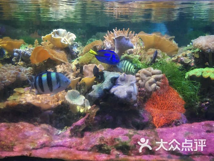 水族馆