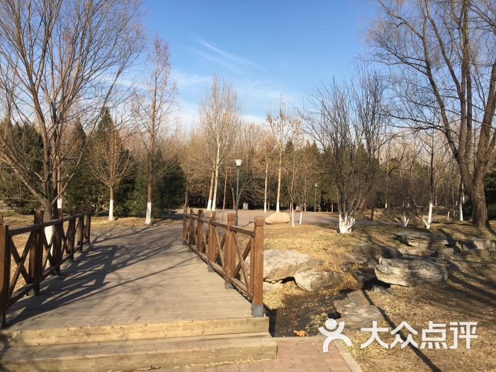 黄草湾郊野公园图片 - 第4张