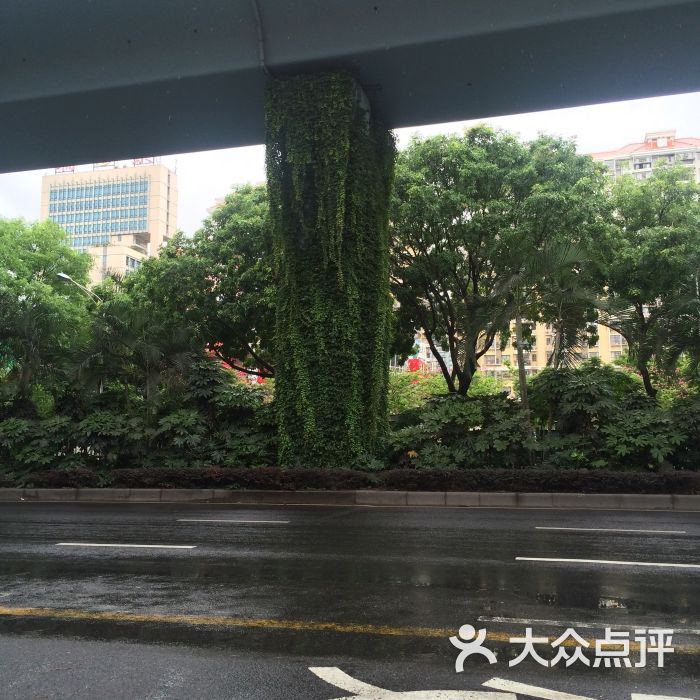 47路公交车-图片-厦门生活服务-大众点评网