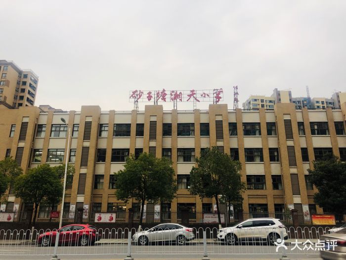 砂子塘湘天小学图片