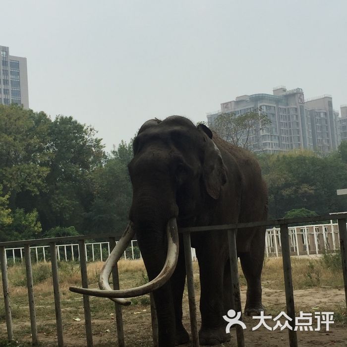 天津动物园