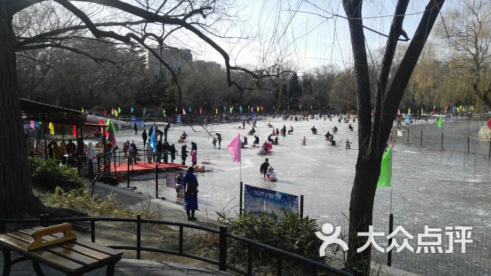 紫竹院公园冰场景点图片 - 第3张