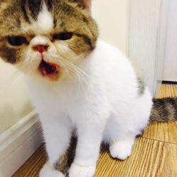 1s8h1veM5o1aNQ4KoJy14VafobTPfI_uwA9PRWHkw3z_yQF6skKnvlhlaNSbej_pF5u7J_jS4MuCaeLAHD0KTg.jpg