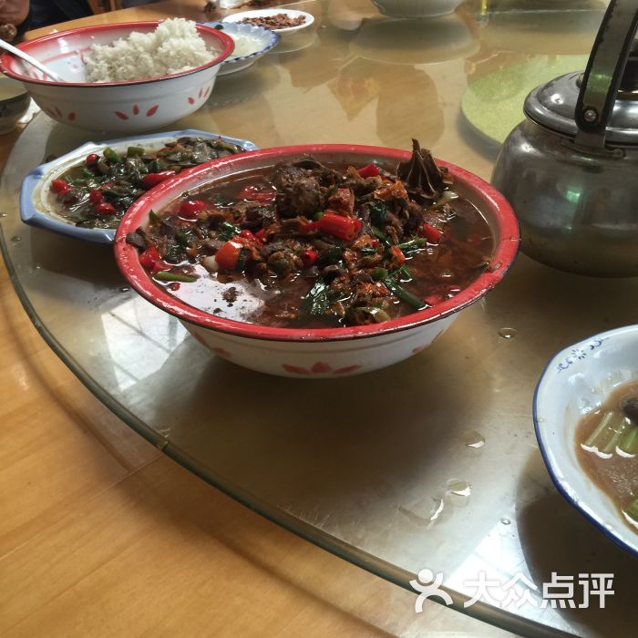 梅华老肖鹅王图片 第19张