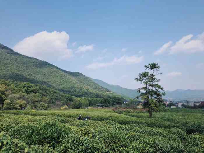 龙坞风景区"因为转塘附近没怎么来过,于是跑来逛逛.先.