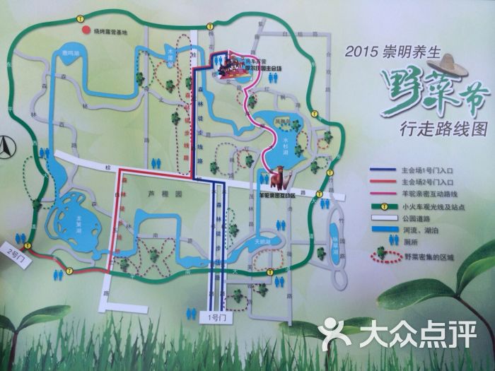 东平国家森林公园图片 - 第19张