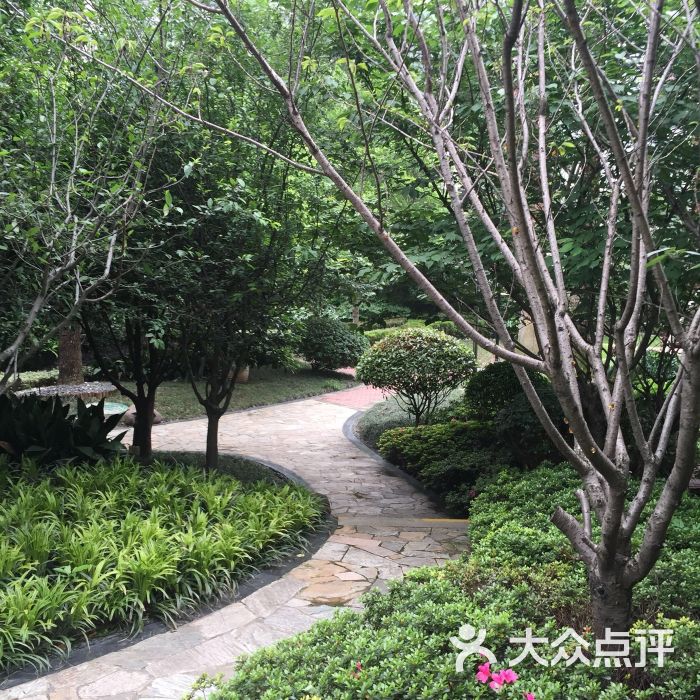 金科观天下-小区环境图片-无锡生活服务-大众点评网