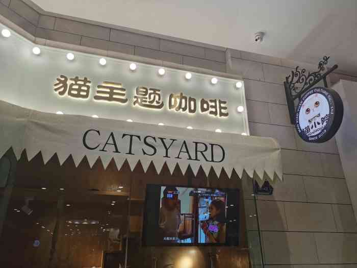 猫小院猫主题咖啡厅(朝阳大悦城店)-"孩子一直想养猫