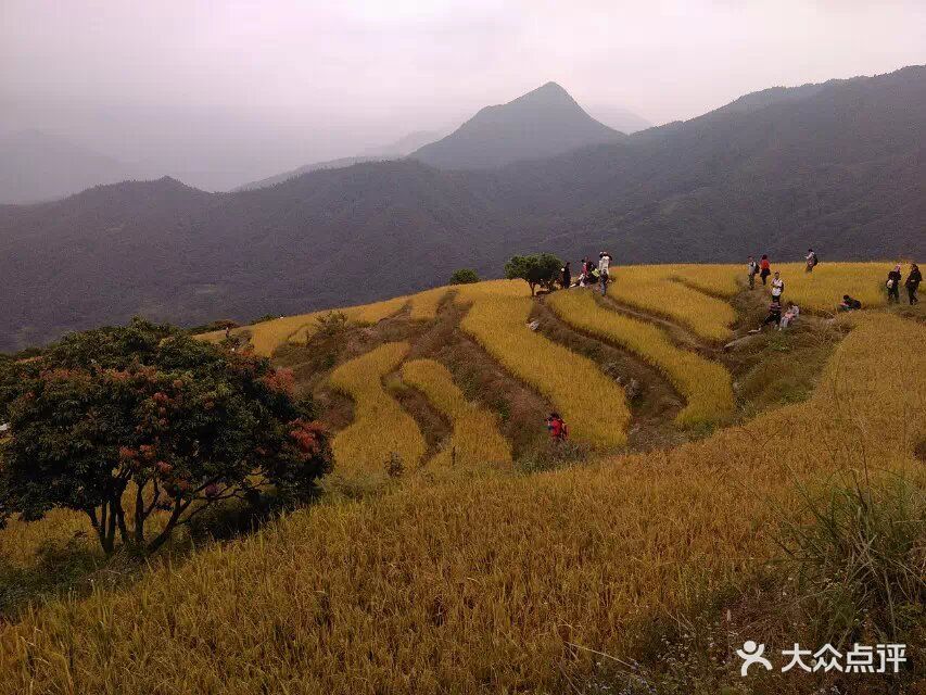 九龙峰图片 第12张