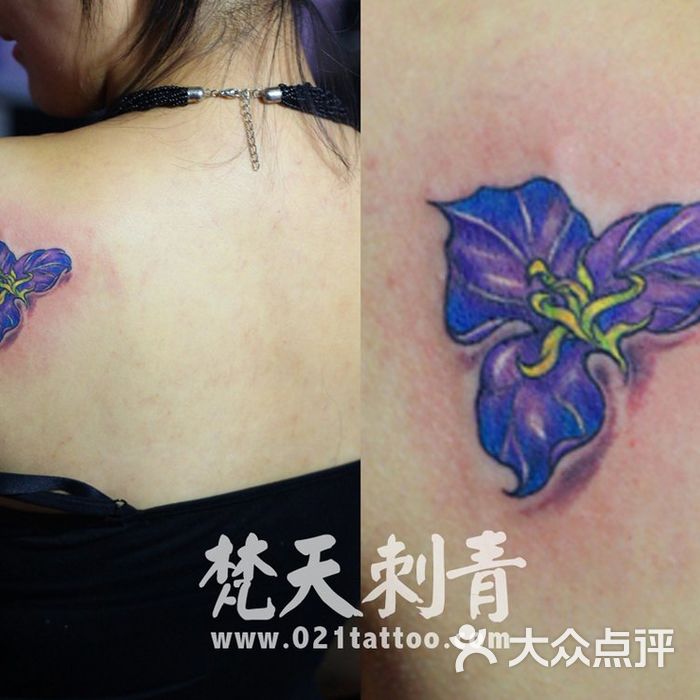梵天刺青美杜莎图片-北京纹身-大众点评网