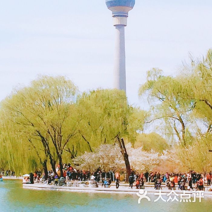 玉渊潭公园