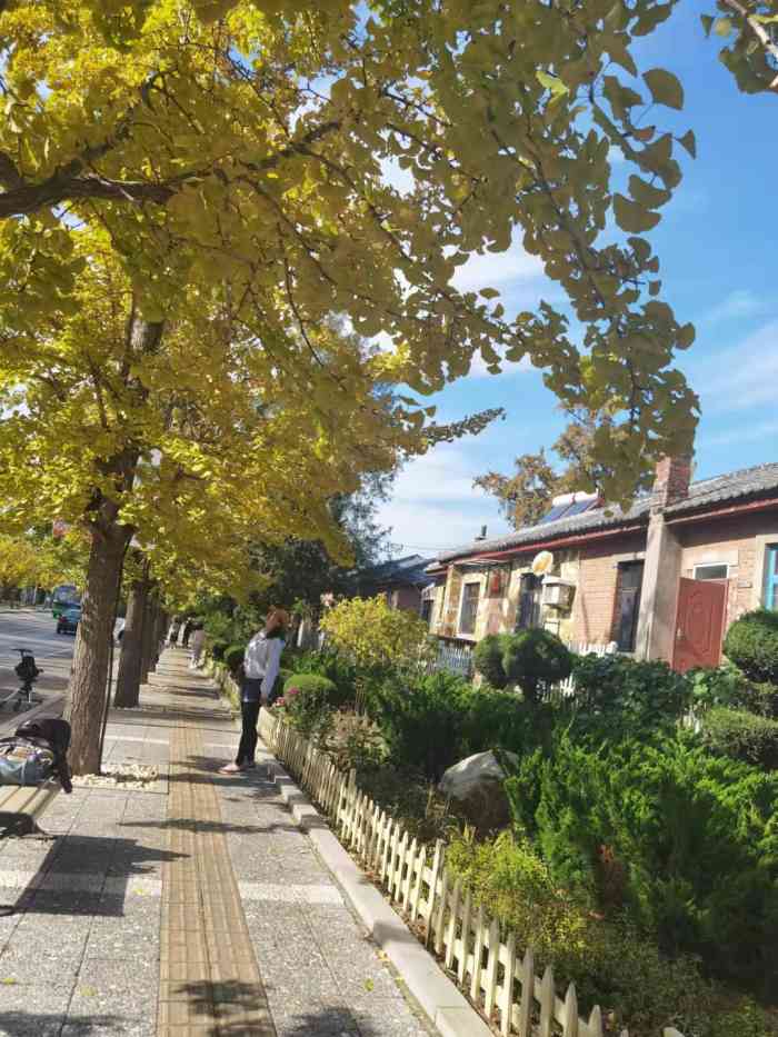 旅顺太阳沟景区-"96旅顺太阳沟八一街北巷写生基地.