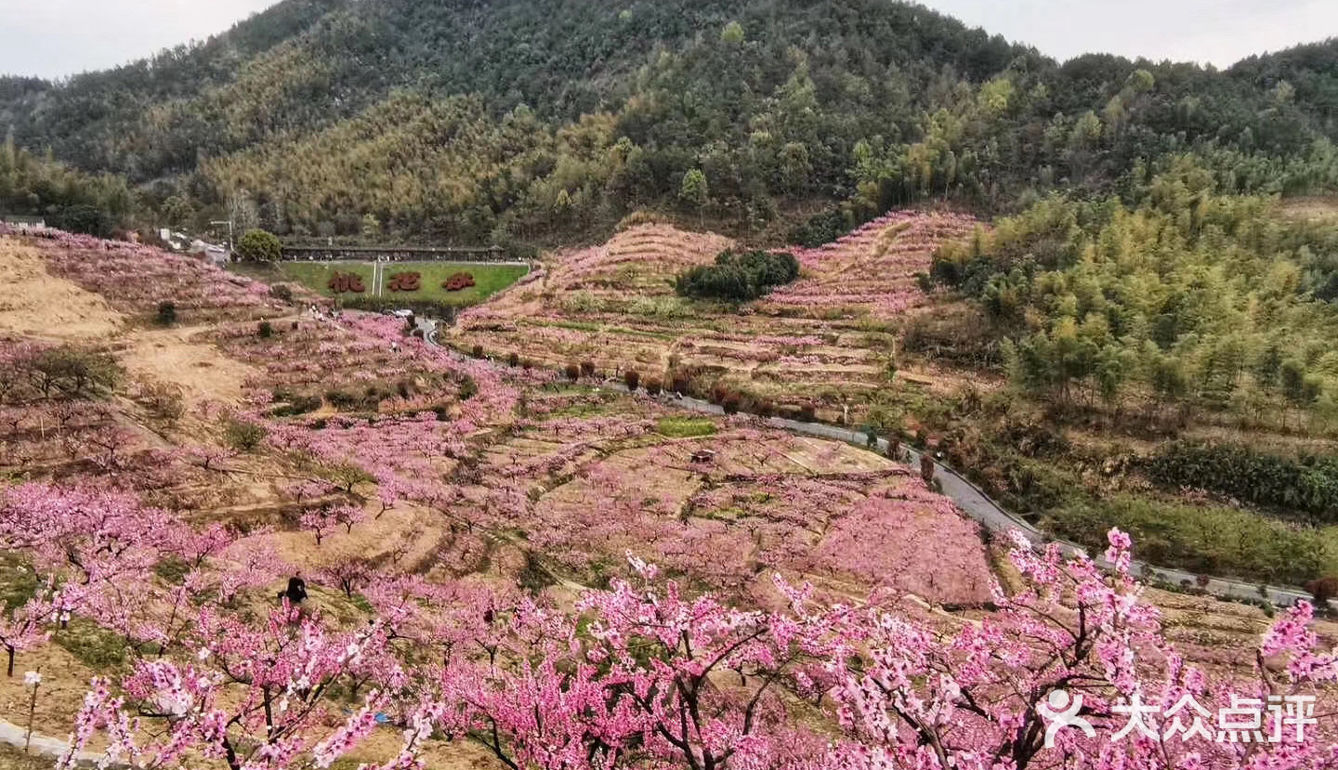 杭州富阳的新登村的黑山顶成了名副其实的"网红