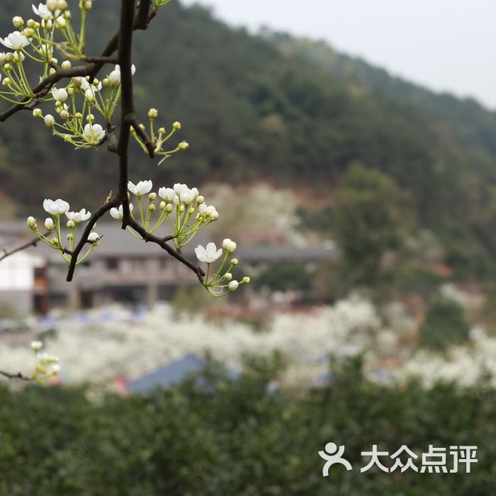 梨花溪风景区