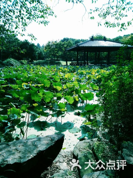 汤湖公园图片 - 第3张