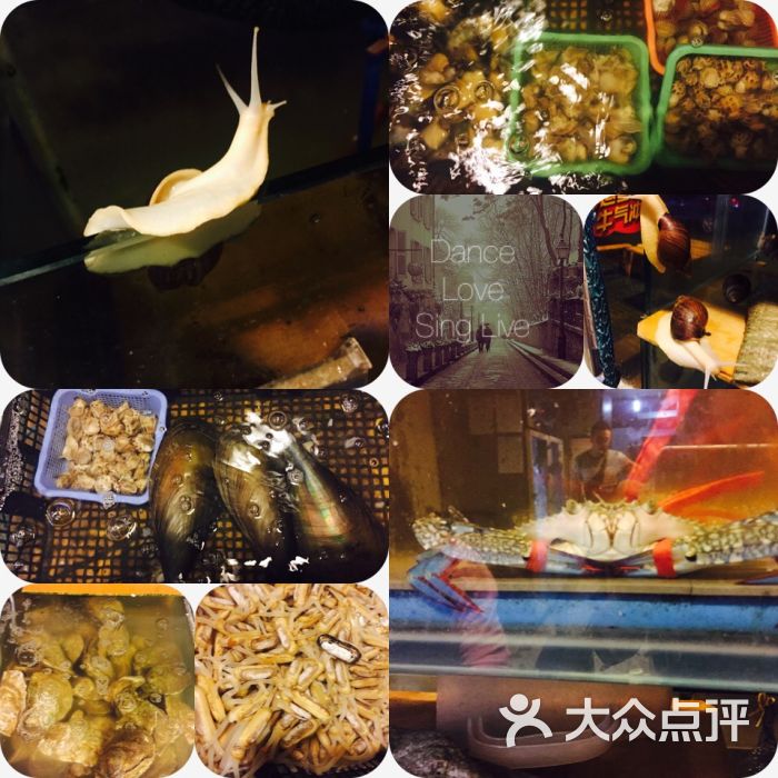 大连海鲜烧烤大排档_辽宁葫芦岛烧烤大排档_海鲜烧烤大排档(2)