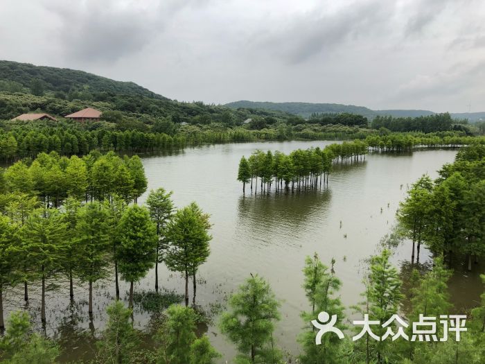 天泉湖金陵山庄图片 - 第7张