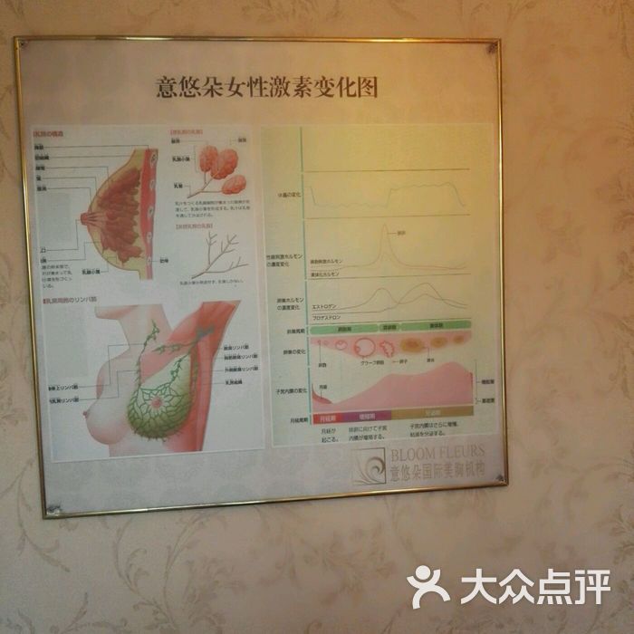 意悠朵国际美胸丰胸机构