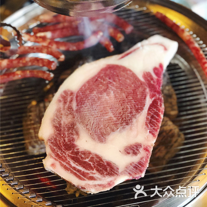 游记厨房章鱼园蜜蜂图片