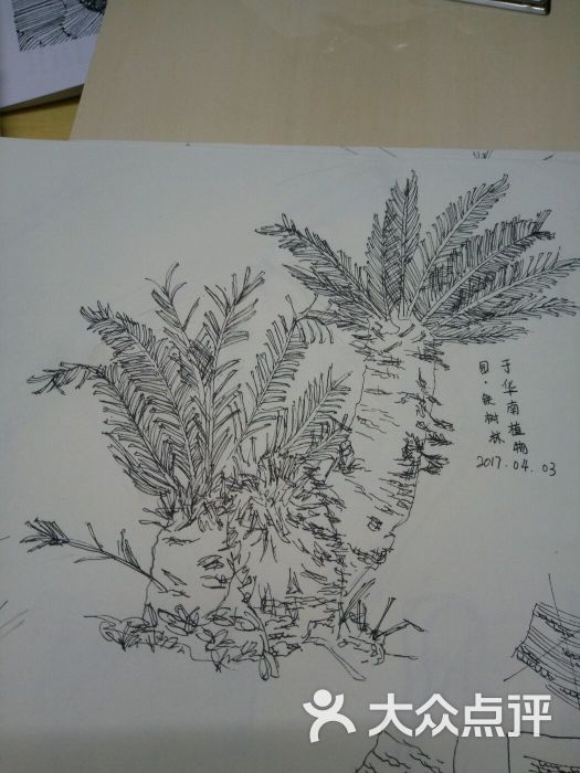 华南植物园图片 - 第1张