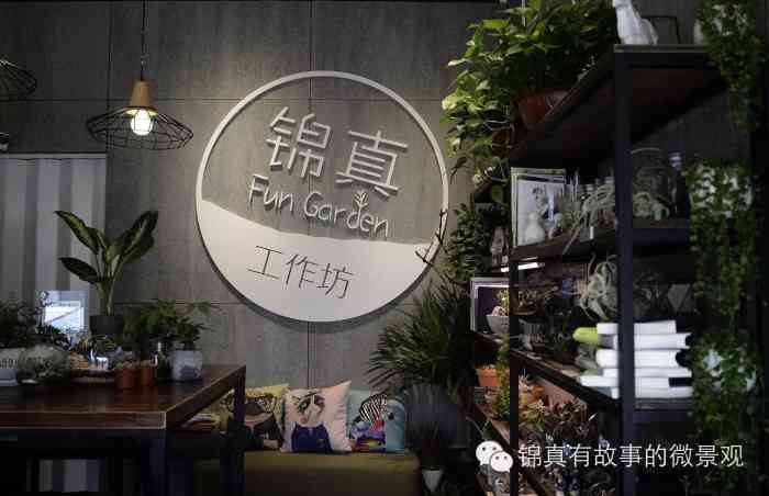 锦真-"店主君经常不在店里.有时候路过,看到."