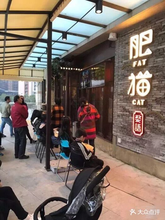 肥猫餐厅(南翔店-图片-上海美食-大众点评网