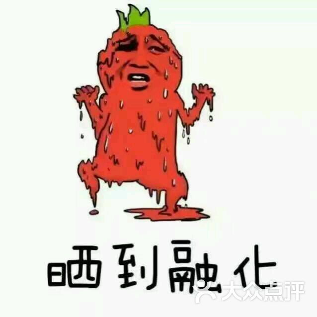 龙马防水图片 - 第1张